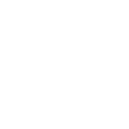 a9
