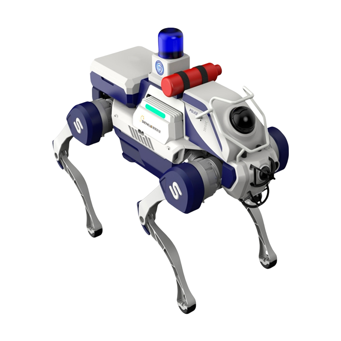d2